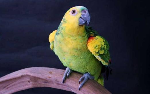 �{픁��R�d�W�^�ăr�� �{픁��R�d�W�^��B(y��ng)����