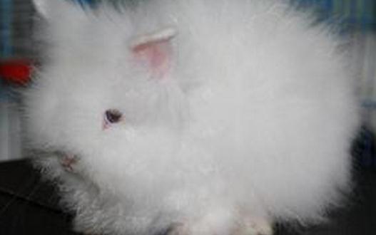 ��������Įa(ch��n)����������