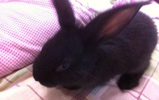 ɏɽ�����ܺ�ˮ����ɏɽ���õ�ιʳ