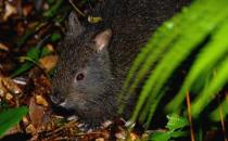 �����õ��ΑB(t��i)��������Щ��