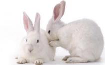 ������õĮa(ch��n)��-������õăr��