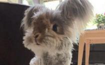 �����õĮa(ch��n)���������������ö����X�����I����