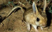 �������������-�F(xi��n)��߀���������