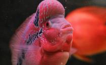 �����_�h�~��ô�B(y��ng)�������_�h�~�ĉ���