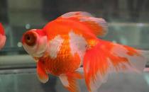 �������~��ô���x���������~��ô�B(y��ng)��