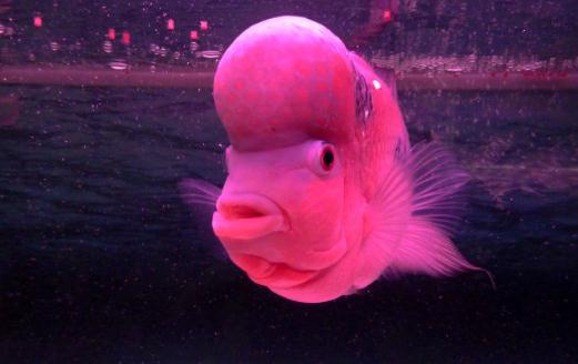 �����^�ĺ�(ji��n)��-�����^������