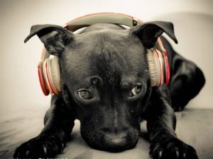 С�����Ӹ�����ô������С�����Ӹ���ô�k��