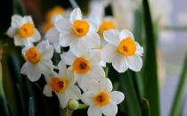 ˮ�ɻ������_�B(y��ng)�o(h��)���� �B(y��ng)ˮ�ɻ���ע�����(xi��ng)