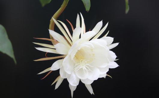 �һ���(du��)�Ҿӭh(hu��n)����Ӱ�-�һ������ӵ���
