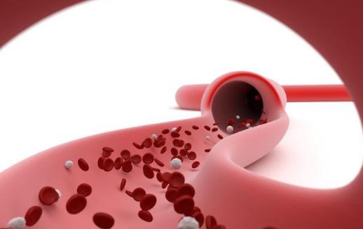 Ѫ��Ӳ���y���X?ע�����w������(g��)��̖(h��o)