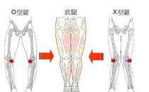 5�N��·�˄ݕ�(hu��)׌��׃��O����