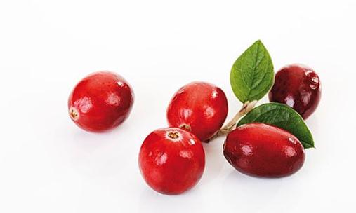 ��Խݮ���Ǳ�������