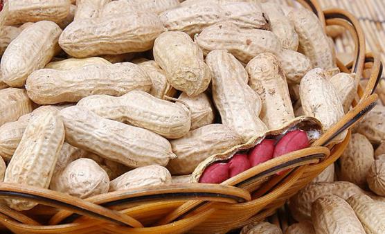 �����Q���L(zh��ng)���� ���ԳԻ����Ĵ��̎ 