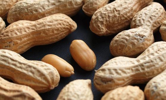 �����Q���L(zh��ng)���� ���ԳԻ����Ĵ��̎ 