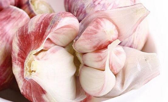 ʳ�ô���СС���R(sh��) ��������B(y��ng)����Ч���� 