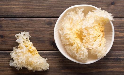 �y�����B(y��ng)���������y��ѩ���������