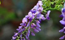 6���L���{(di��o)�휫 ׌ƣ�v����MѪ��(f��)��