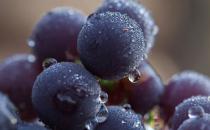 �����I�úܶ�Բ��� �L(zh��ng)�r(sh��)�g�������E�[