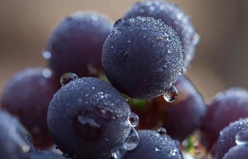 �ЋDˮ�����] 3��ˮ����̥���l(f��)��