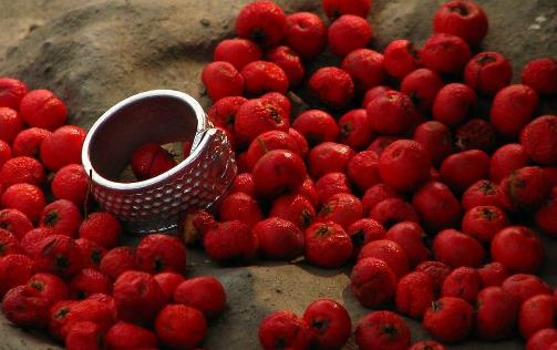 �ЋDˮ�����] 3��ˮ����̥���l(f��)��