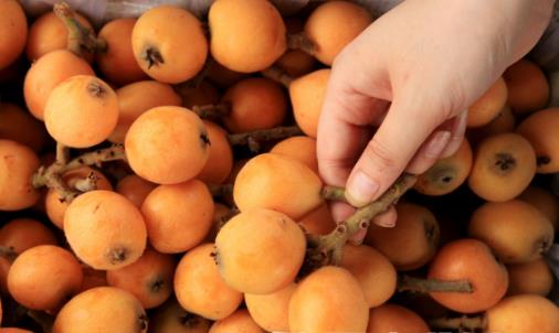 ��ݮ����Щ��Ч��(du��)�����B(y��ng)����