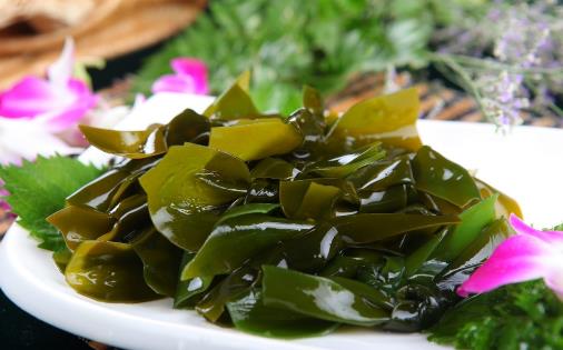 ���ջش������8�����cС��������Ƣ�B(y��ng)θ��ͨ�� 