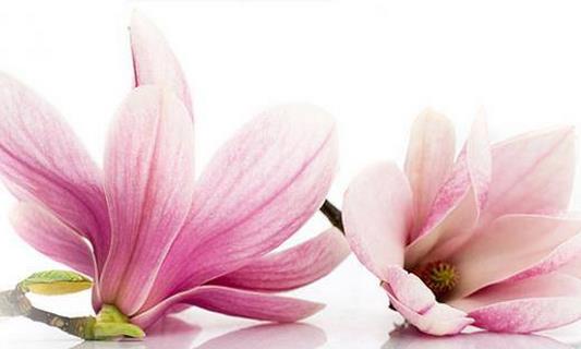 �P(p��n)�c(di��n)�D�Ƽ�����(hu��)����(l��i)��Σ��