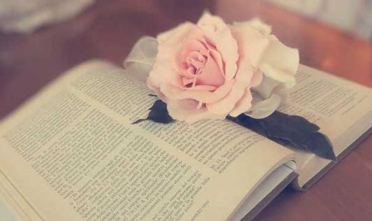 ��Ҫ�W(xu��)��ȫ��λ�İ��b�Լ�