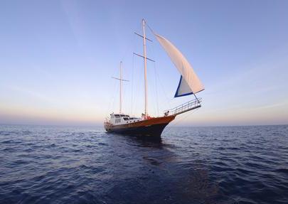 7��11����ʲô��(ji��)�գ��Ї��������ǎ��������Ї������յ��Ɂ�