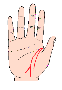 ������(xi��n)�D�⣺������(xi��n)�����c(di��n)��ĩ�˲��g��